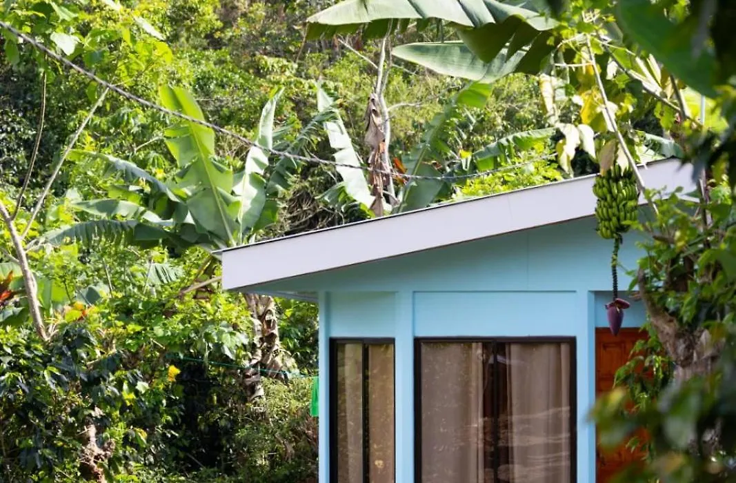 Jessie'S Country House Rivas-1