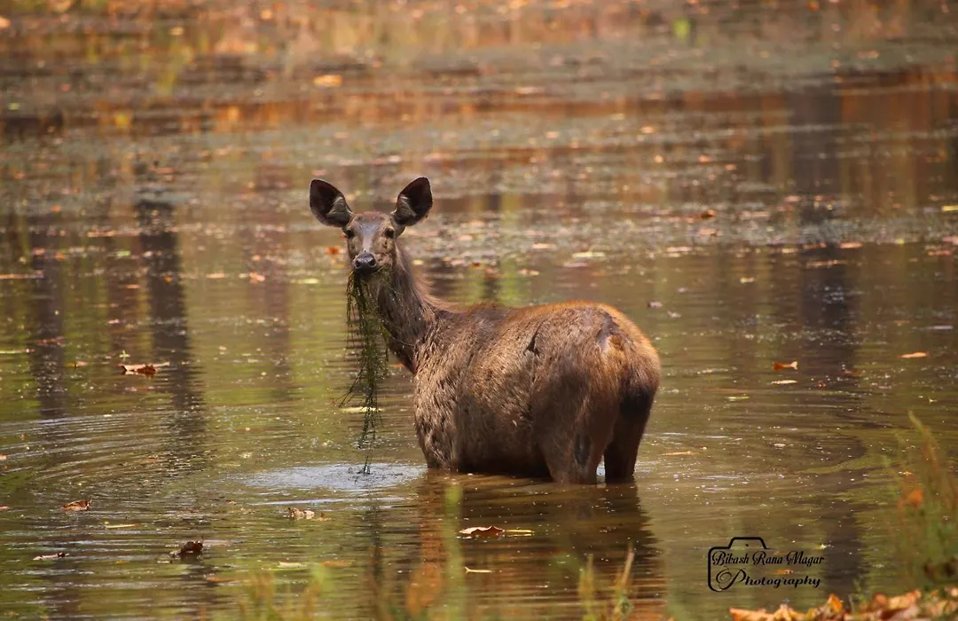 Mr. B'S Place-1