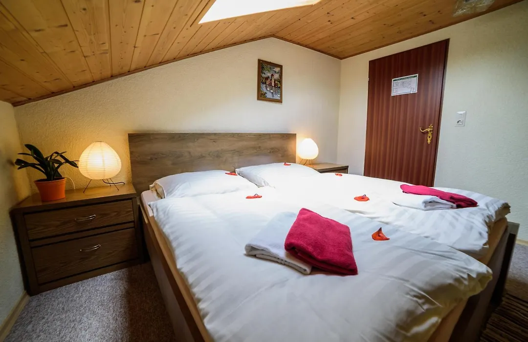 Pension Arberwald-1