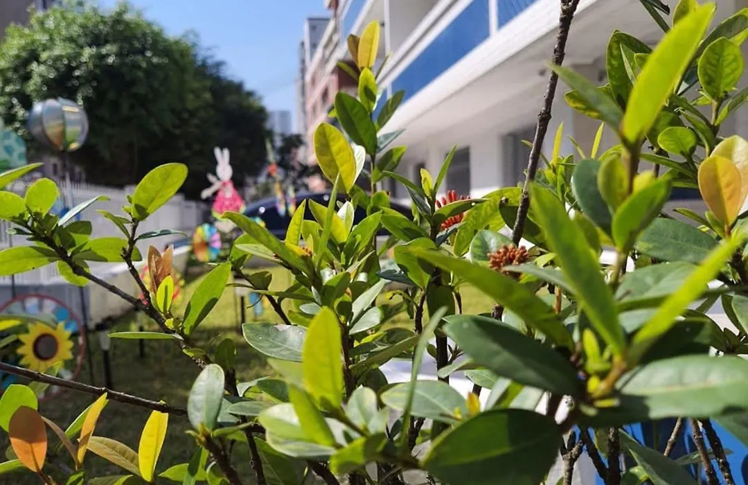 Beira Mar II Dorm Ap207 - Tupi - 15 Metros Da Praia - 2 Dormitorios Com Varanda - Wi Fi E Acomoda Ate 8 Pessoas - Estacionamento Gratuito-1