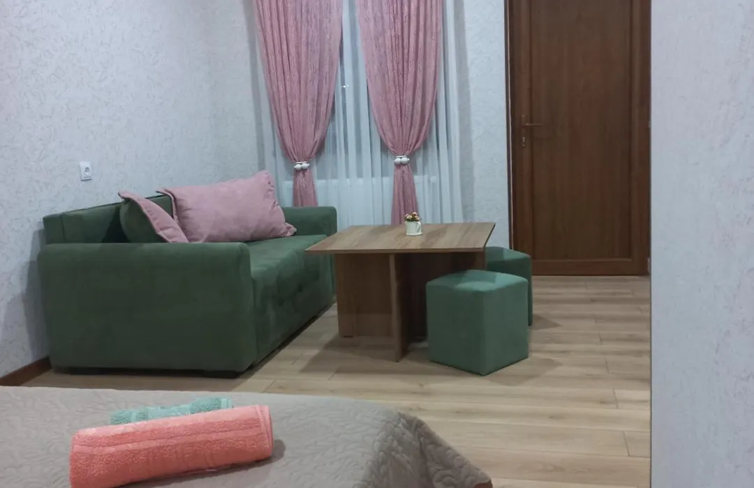 Guest House Borjomula-1