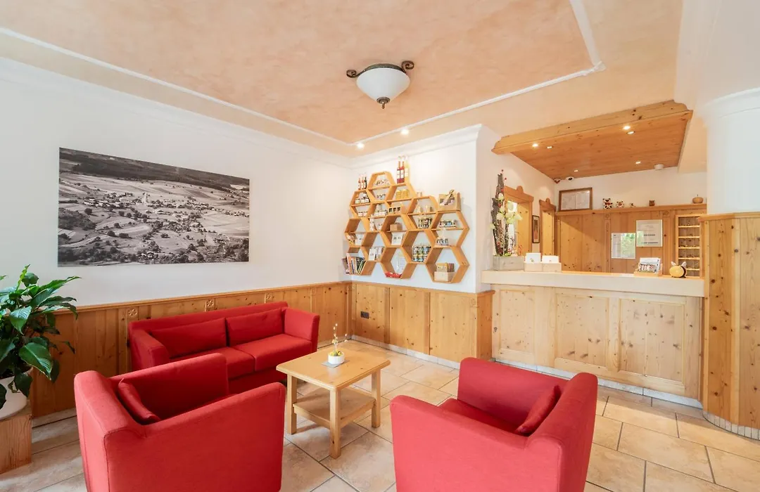 Hotel Birkenbrunn-1