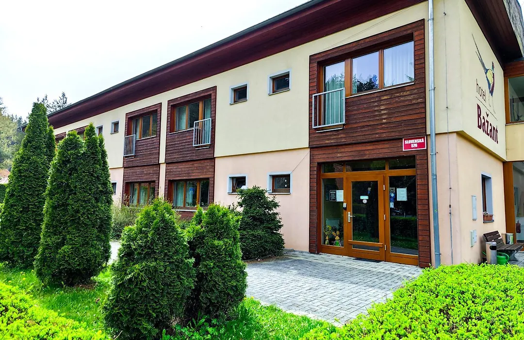 Hotel Bazant-1