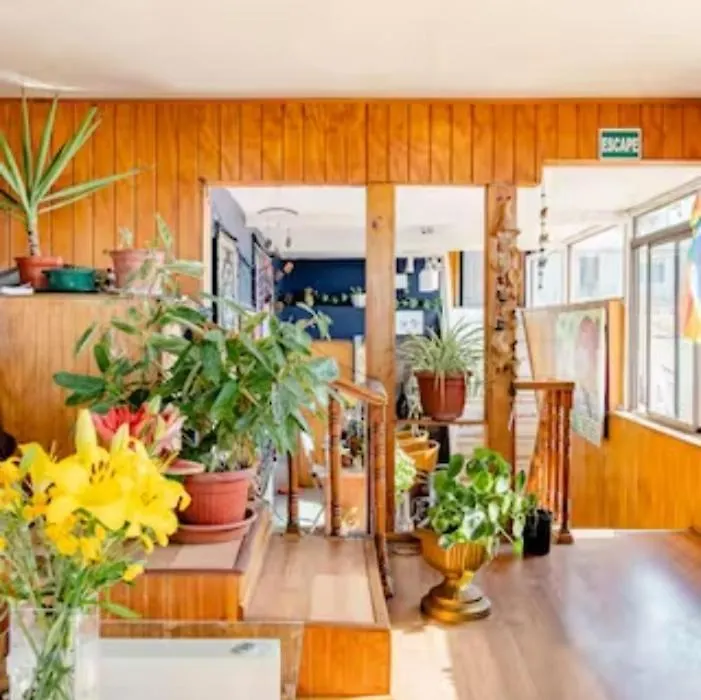 Hostal Con Vista Al Mar, Casa Altavista Valparaiso-1