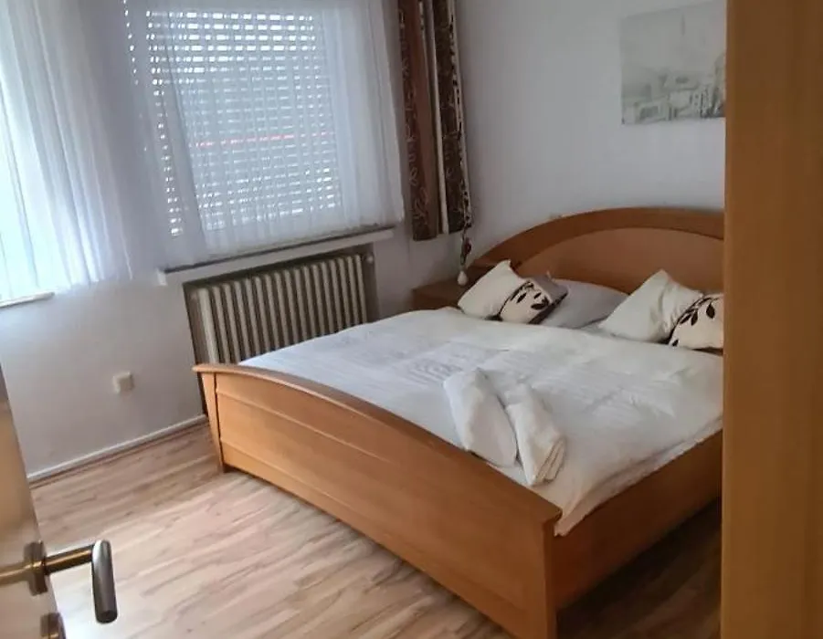 Hotel Zur Aue-1