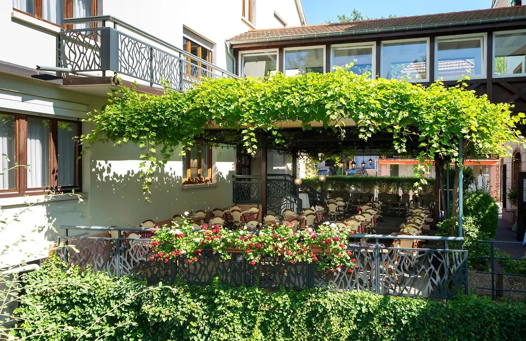 Hotel Du Parc, Restaurant, Spa & Wellness-1