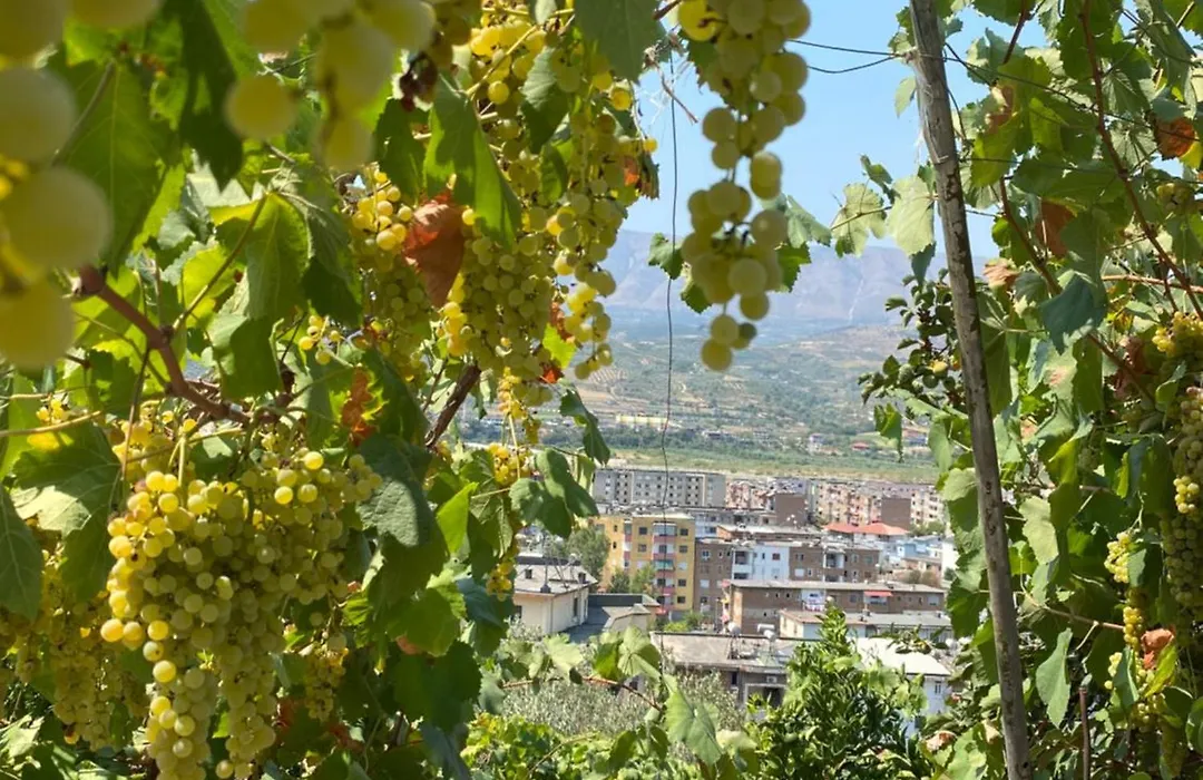 Elli'S Villa-1