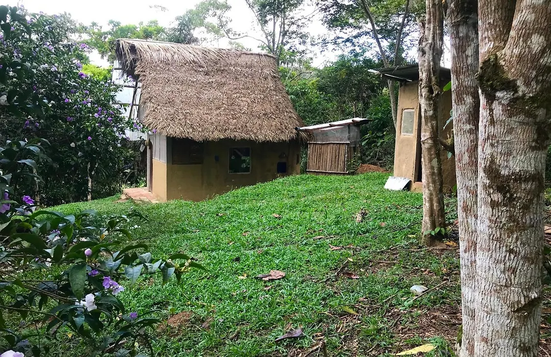 Sweet Little Cabin In Ecological Artist Community-1