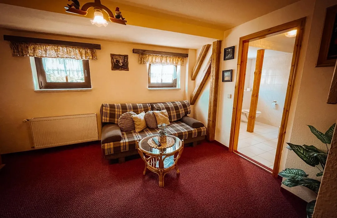 Pension Zum Erzgebirge-1