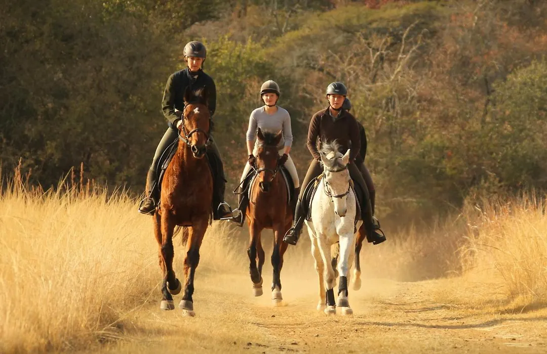 Pakamisa Private Game Reserve-1