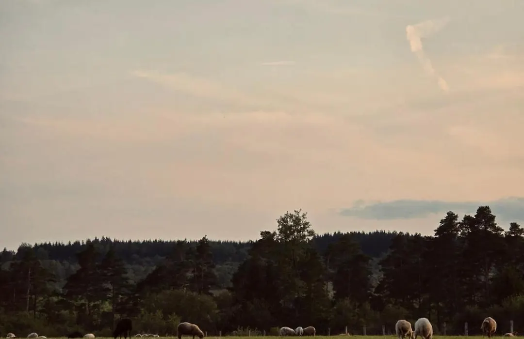 The Green Shepherd, A Charming Authentic Cabin Surrounded By Beautiful Countryside-1