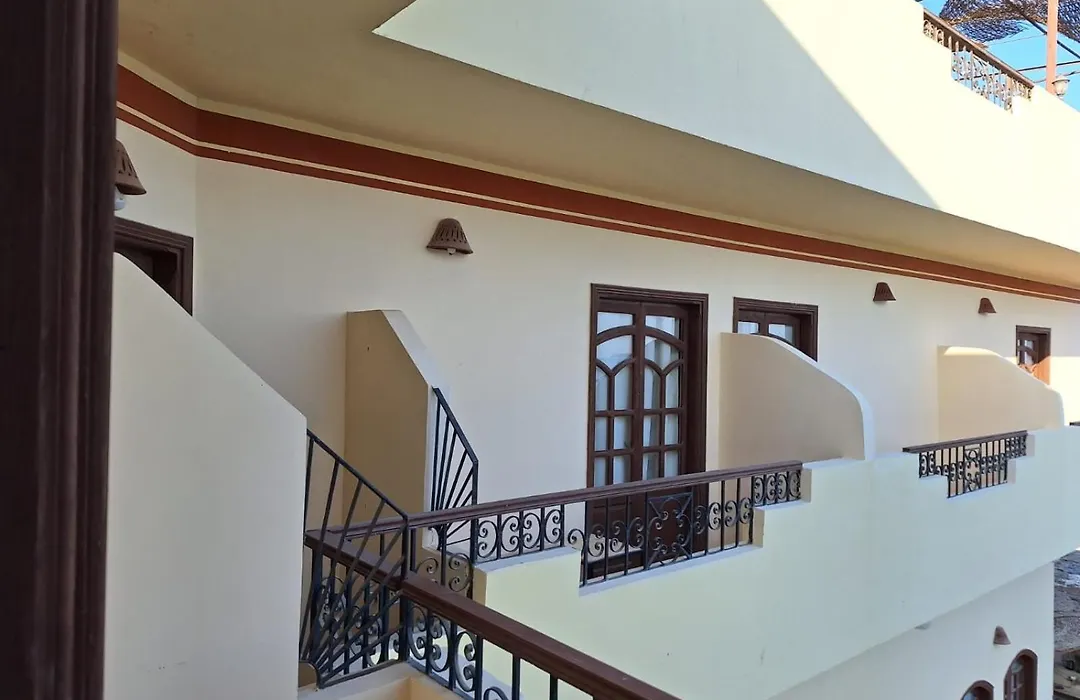 Dolphin Hotel Safaga-1