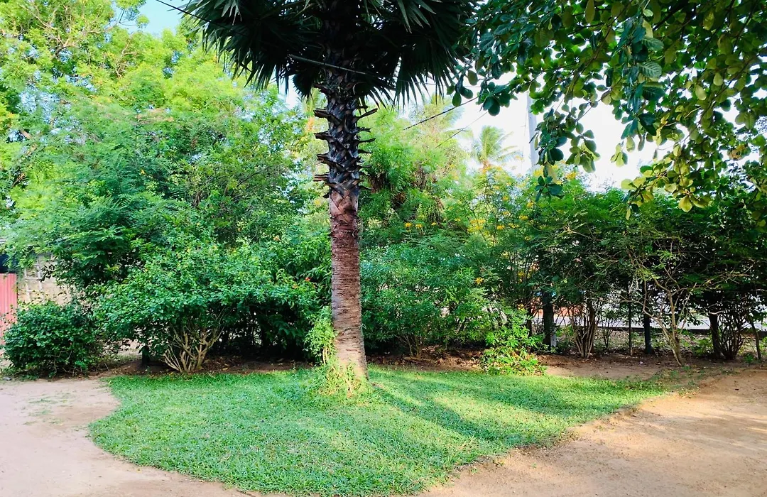 Raja Guest House-1