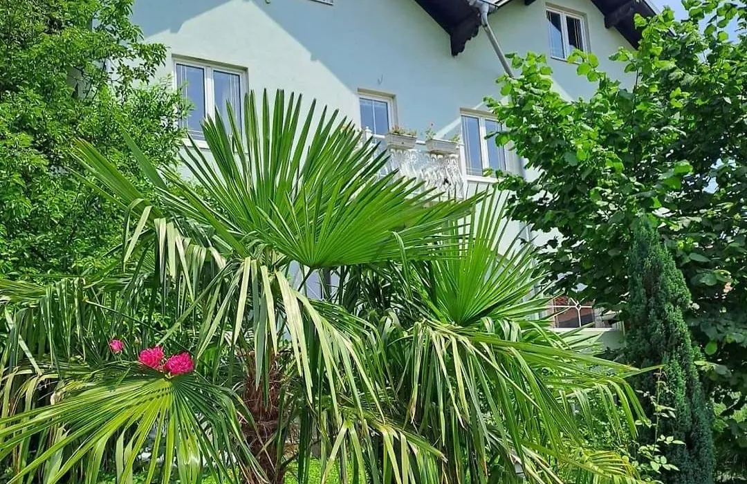 Smestaj Novakovic , Zdrelo-1