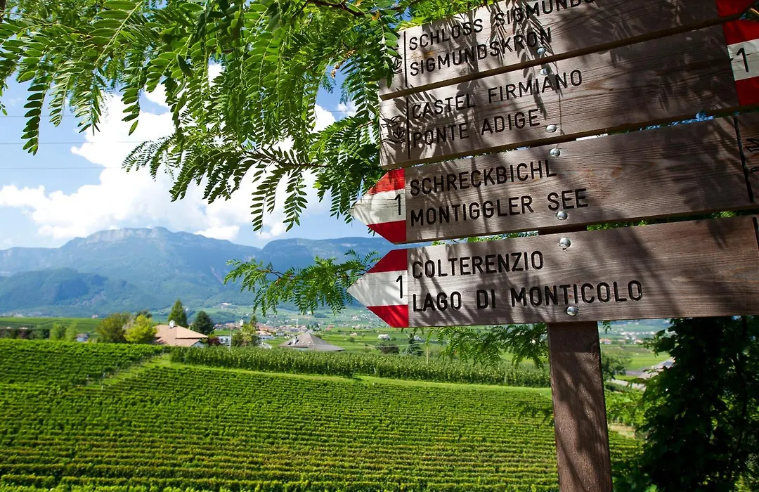 Hotel Girlanerhof-1