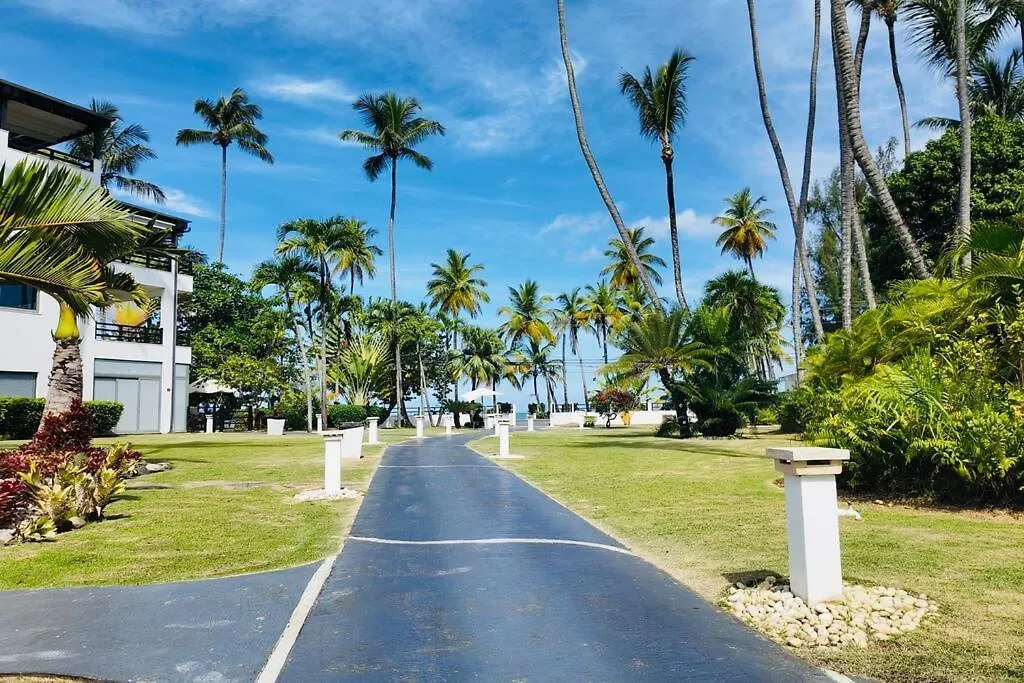 Aligio Beachfront Resort & Spa-1