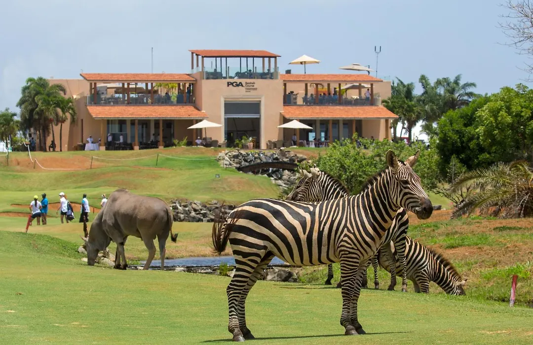 Vipingo Ridge Limited-1
