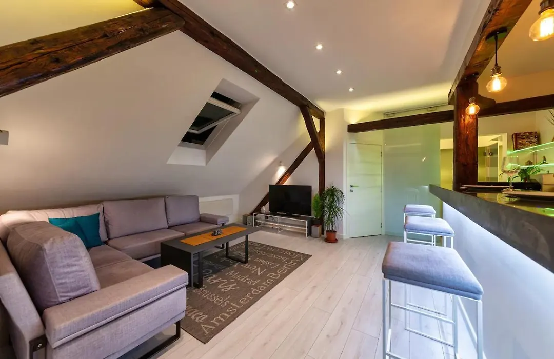 City Centre Rooftop Knez Mihailova Apartment-1