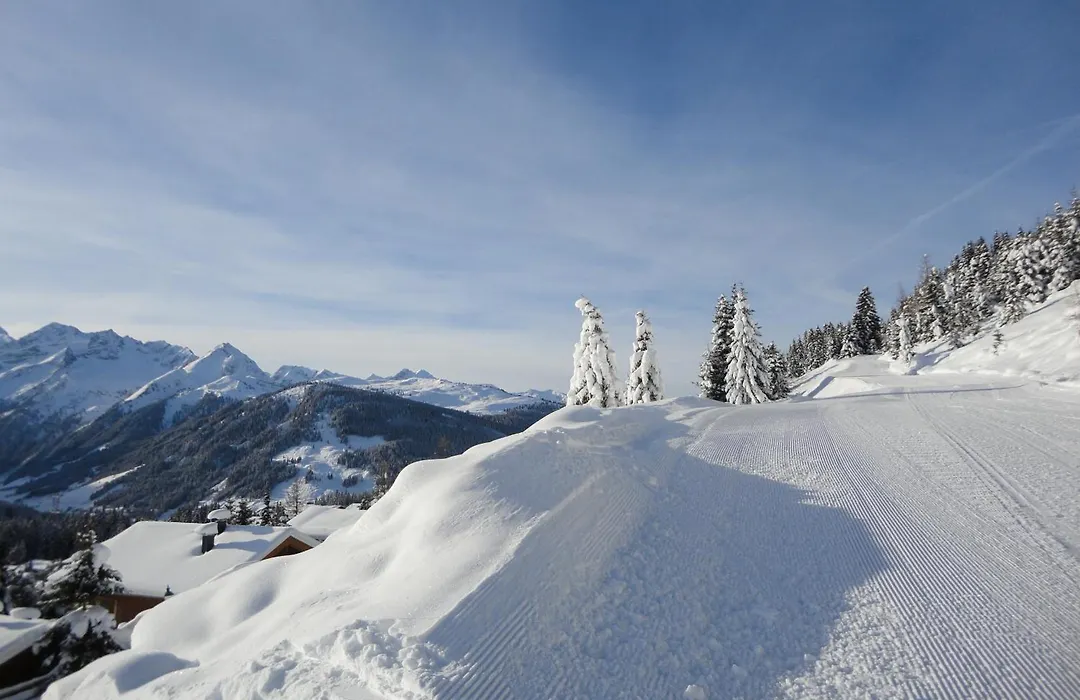 Ferienwohnungen LANG - Ski&Mountain Apartments-1