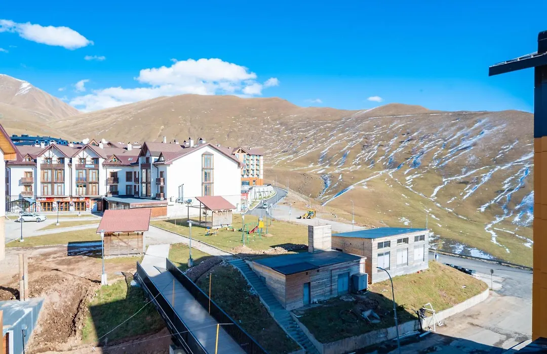 2-Room Apartment New Gudauri F1-1