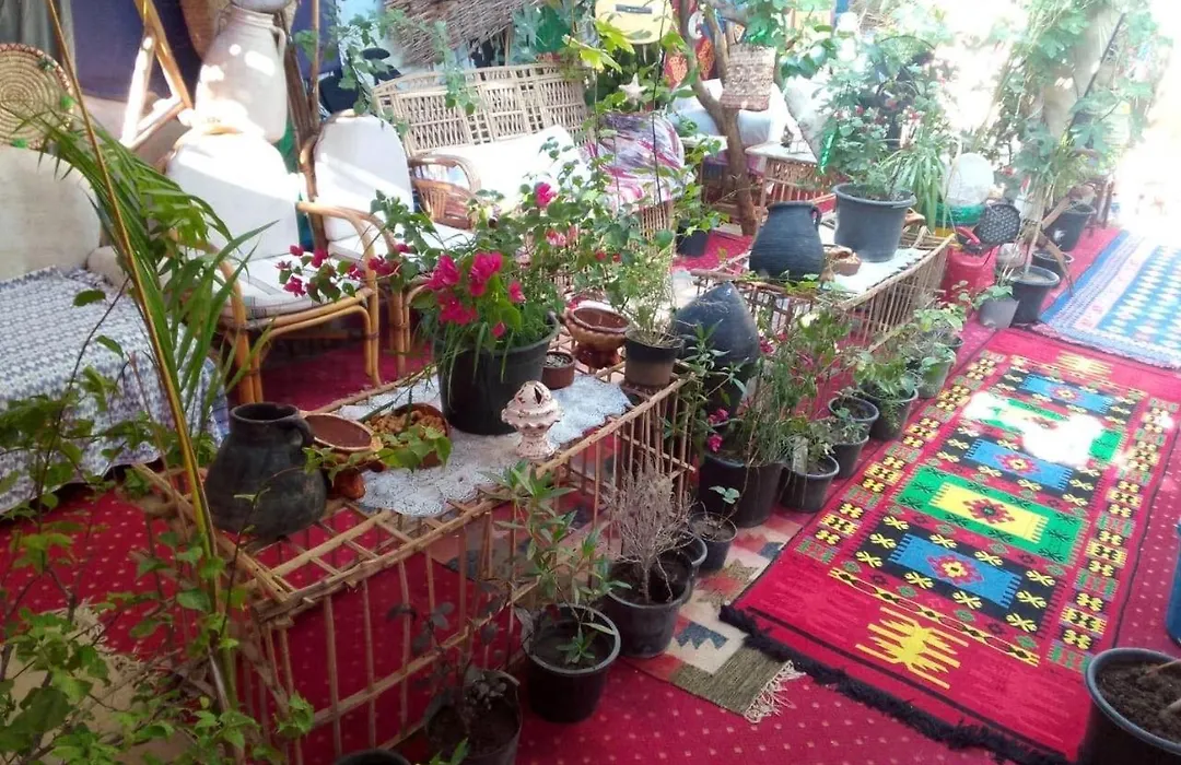 Peace Garden Hostel & Camp-1