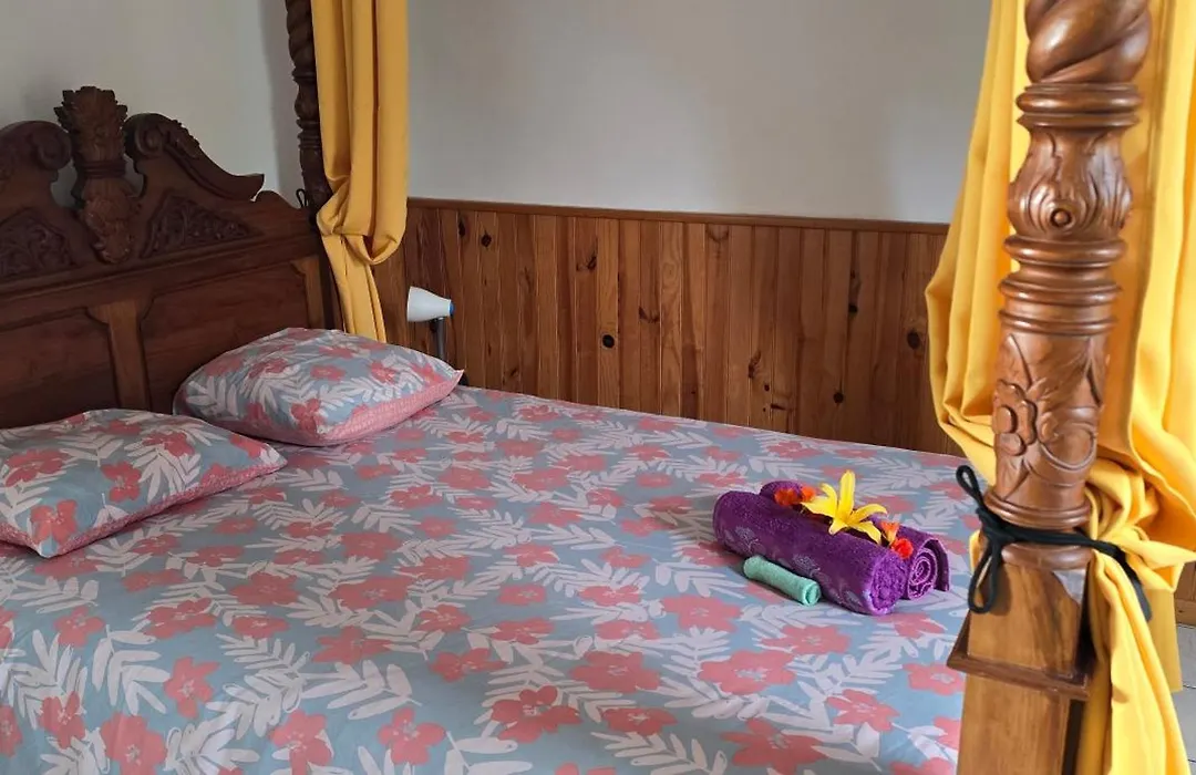 Case Tortue - Chambres Chez L'Habitant - 3 Etoiles-1