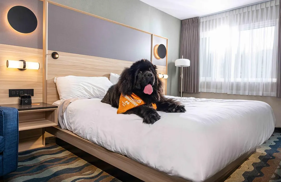 Accent Inns Vancouver Airport-1