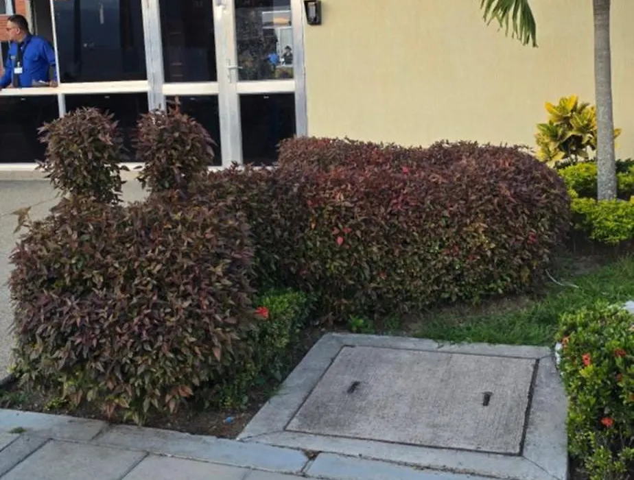 Apartamento Con Parqueadero Y Piscina-1