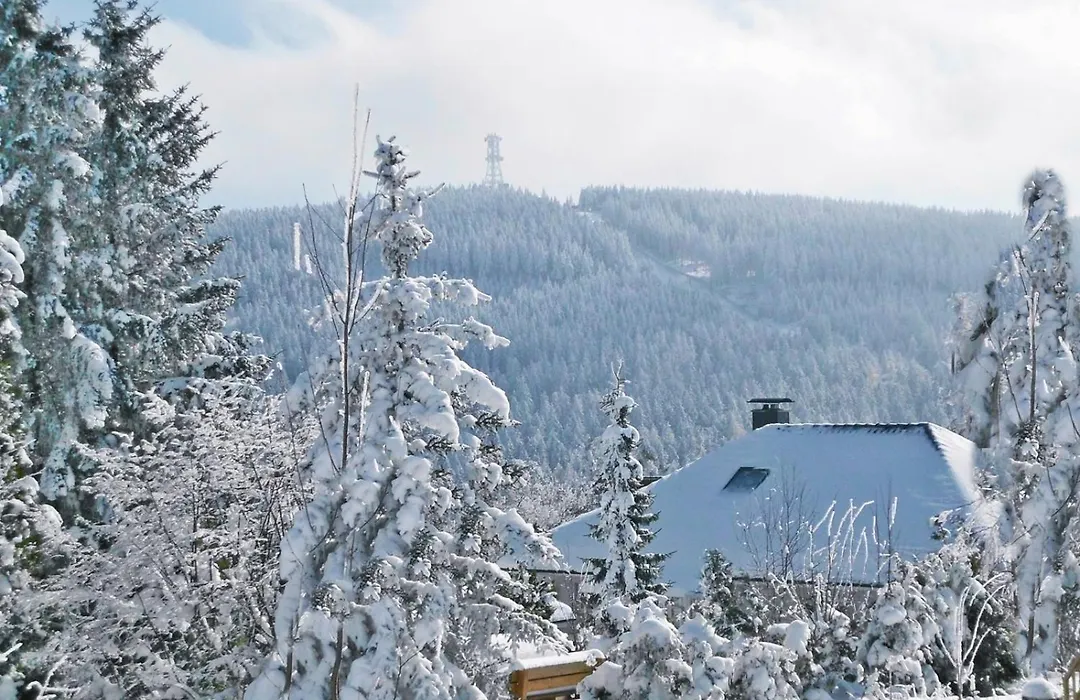 Premium-Ferienwohnungen Bergblick im Haus Hopfe-1