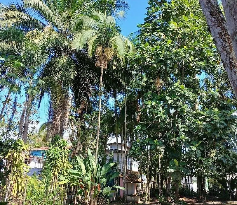 Studio8 Centro Paraty-1