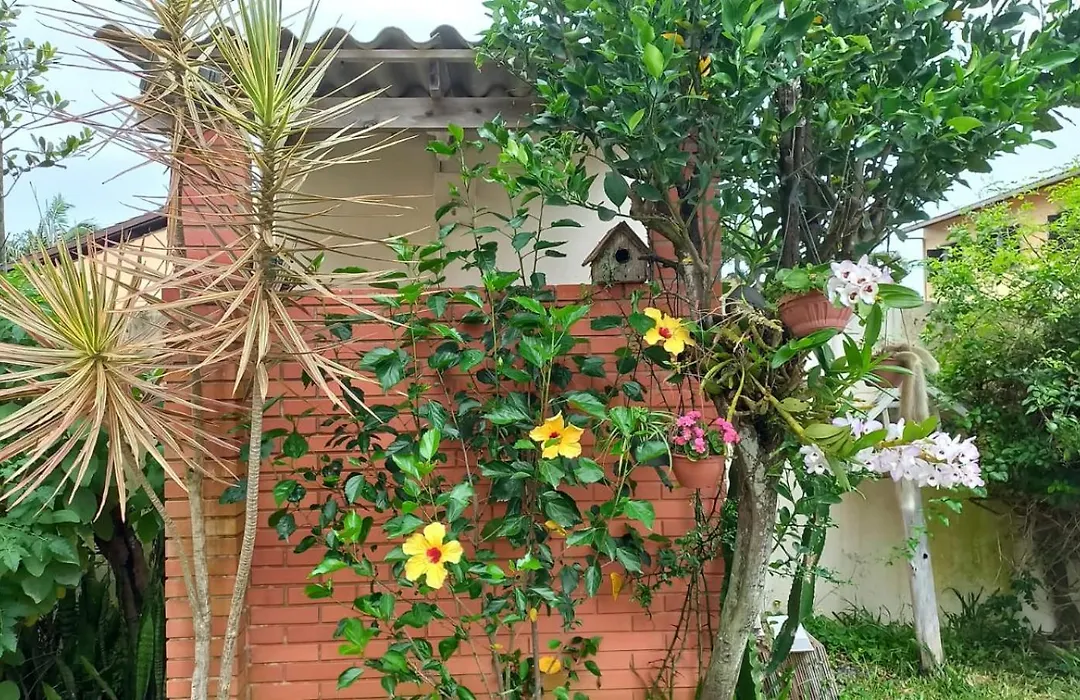 Apartamento 3-1