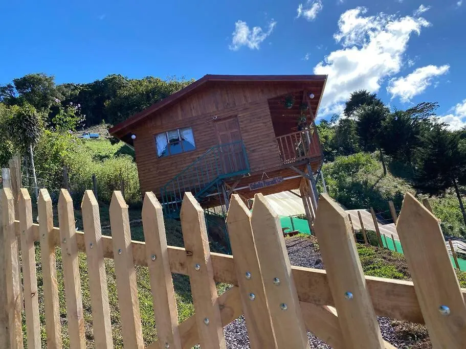 Cabana Peacock - Cute Cabin With An Amazing View!-1