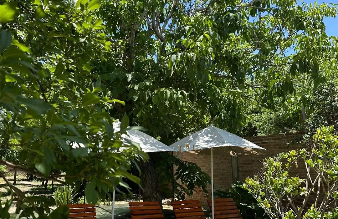 Casa Los Nogales-1