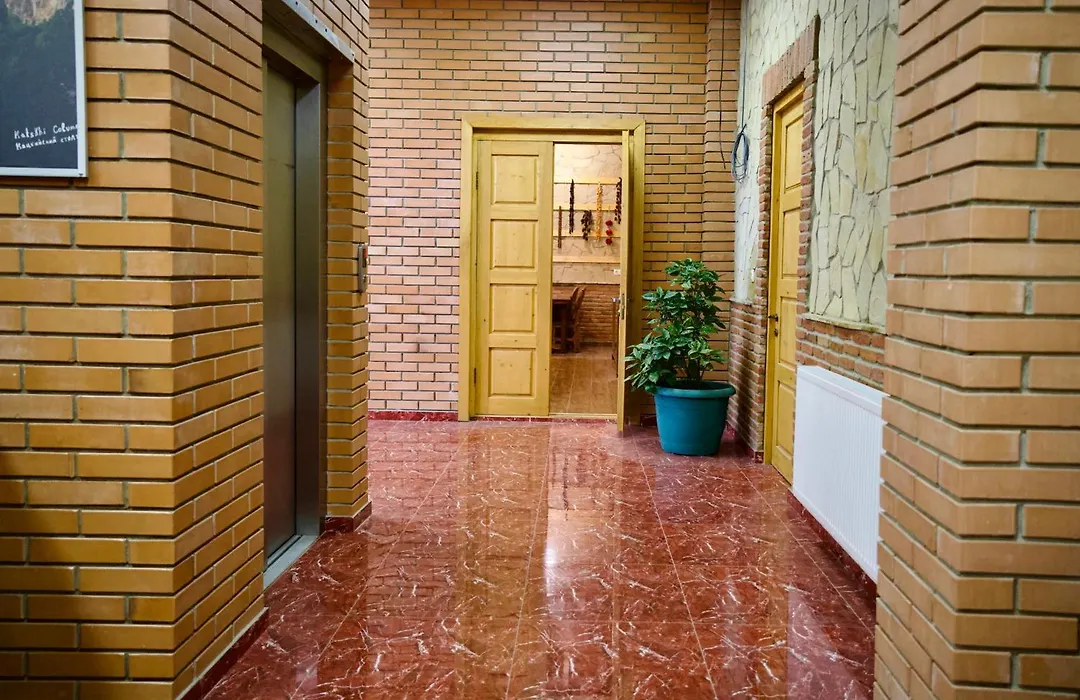 Hotel Mogzauri-1