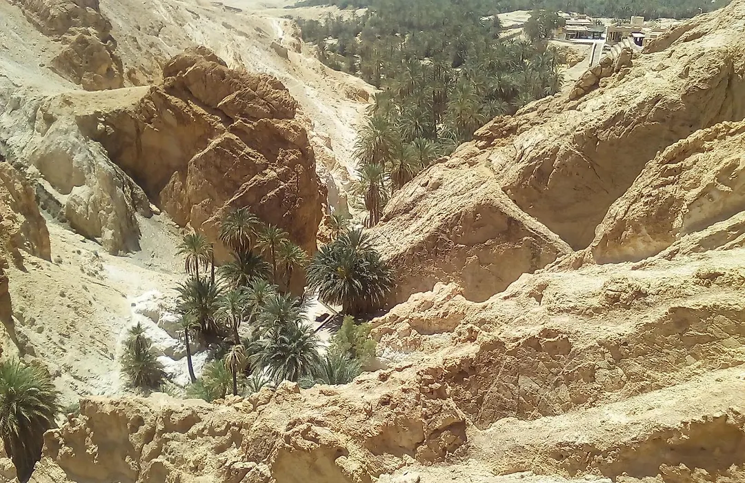 Dar Kamal-1