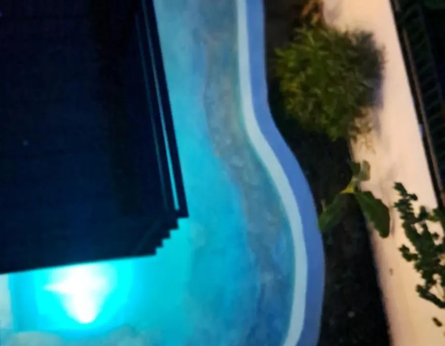 Cactus Reef-1