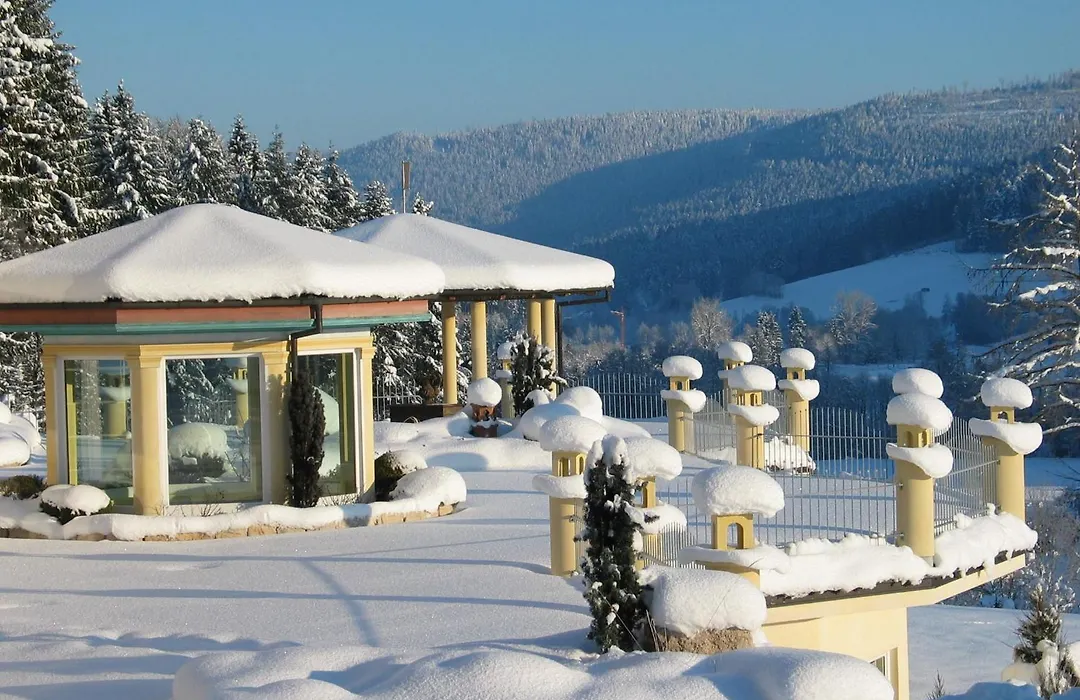 Ailwaldhof Parkhotel & Spa-1