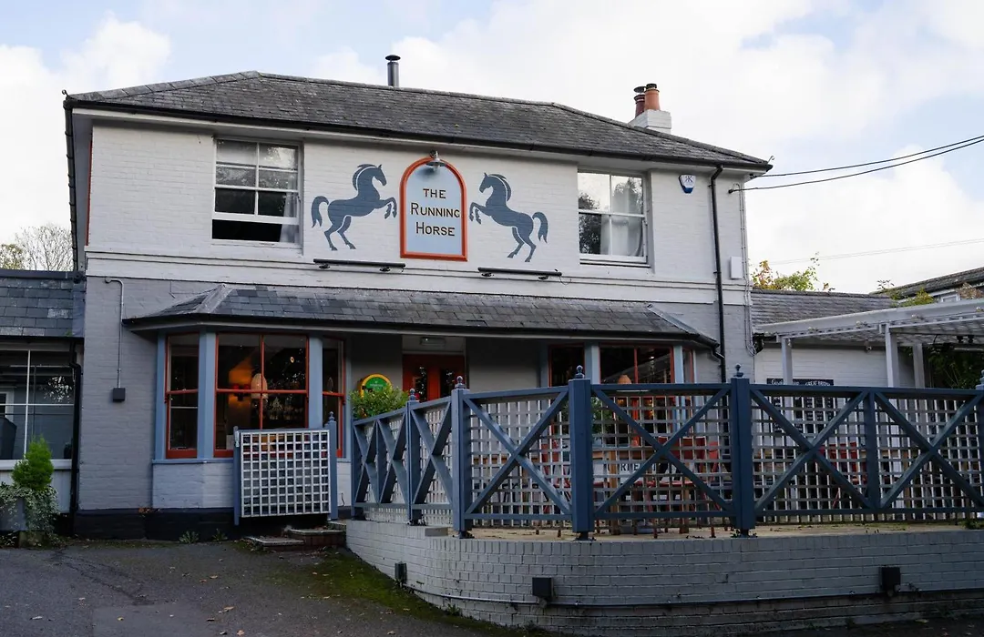 The Running Horse-1