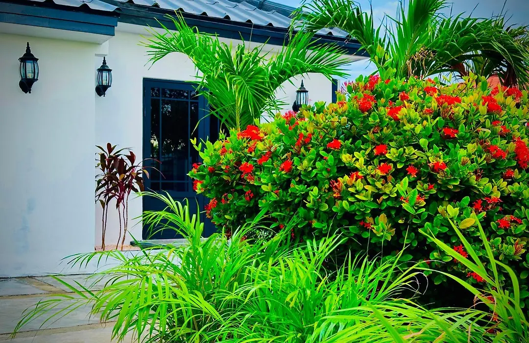 Eagle Stays Aruba-New Stunning One Bedroom Apartment Near Eagle Beach!-1