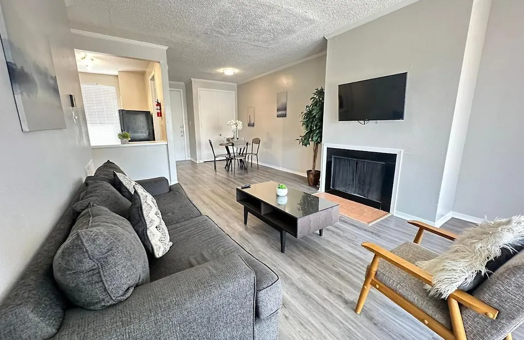 Modern & Stylish Apartment Space In The Heart Of Bay Area Houston-1