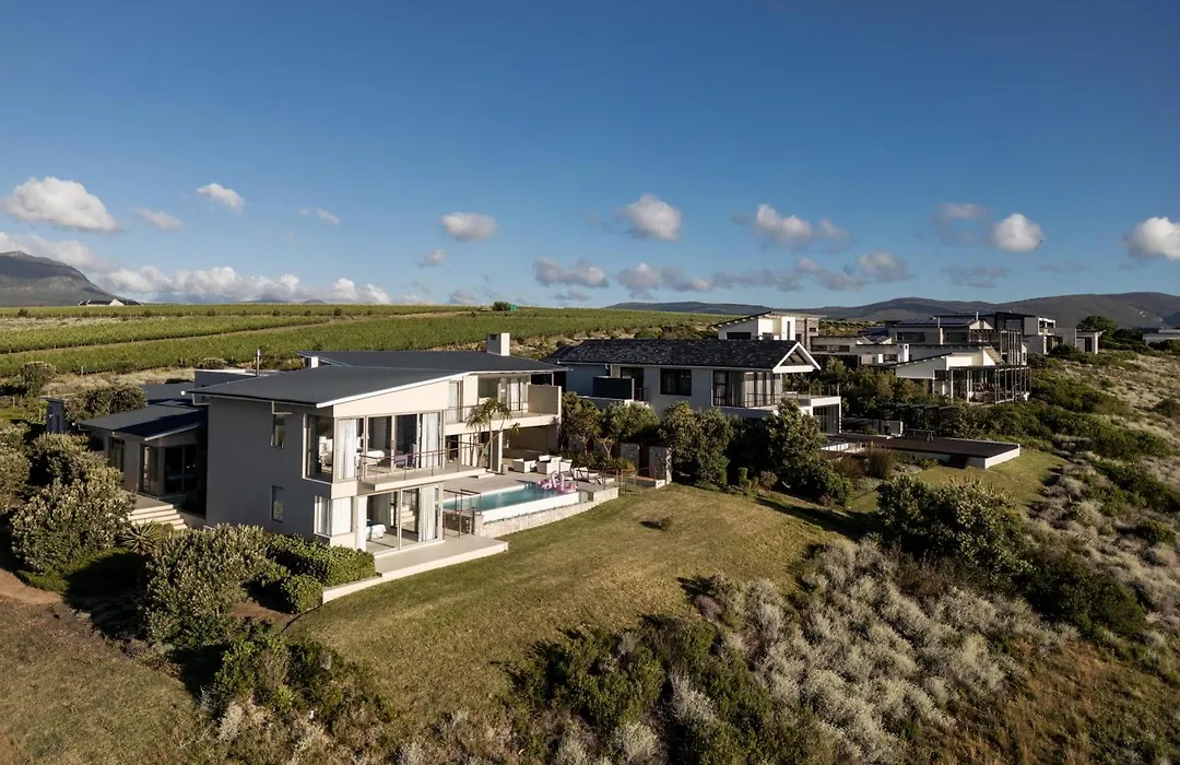 Benguela Cove - Lavender Dreams-1