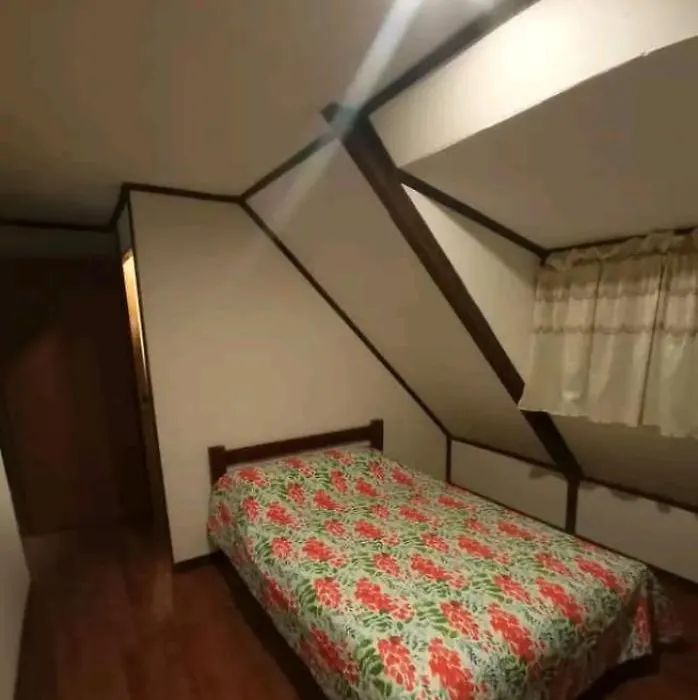 Casa Green Bull-1