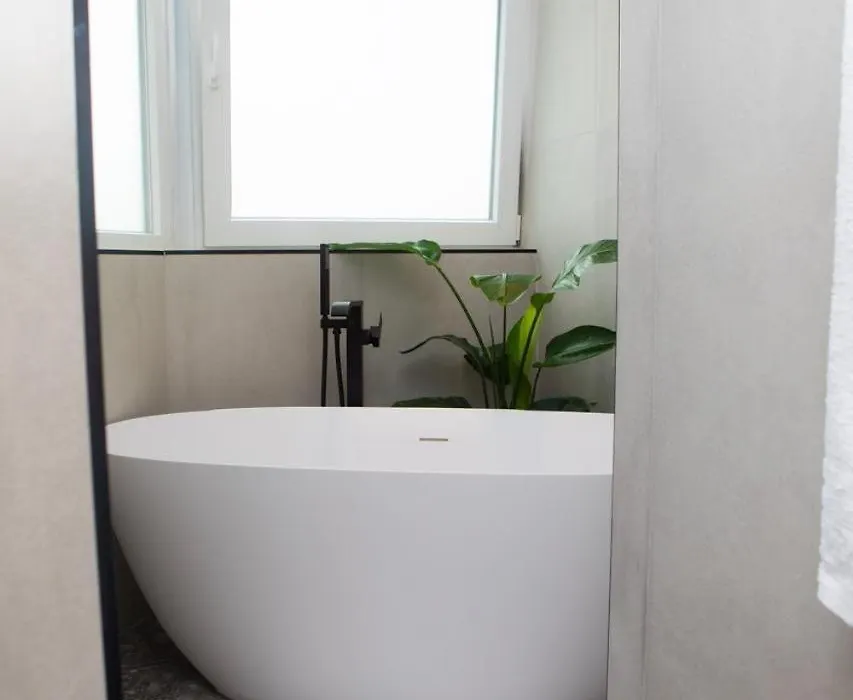 Suite Dreams Apartment-1