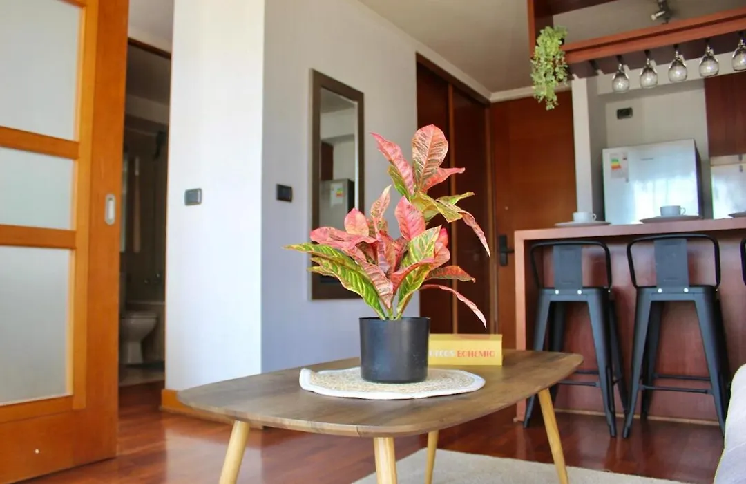 Moderno Departamento Providencia-1