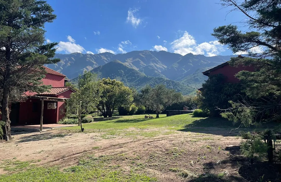 Zolara Di Merlo-1