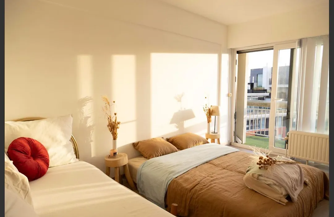 Charmant & Licht Appartement Met Groot L Terras - Zicht Op Mercator-1
