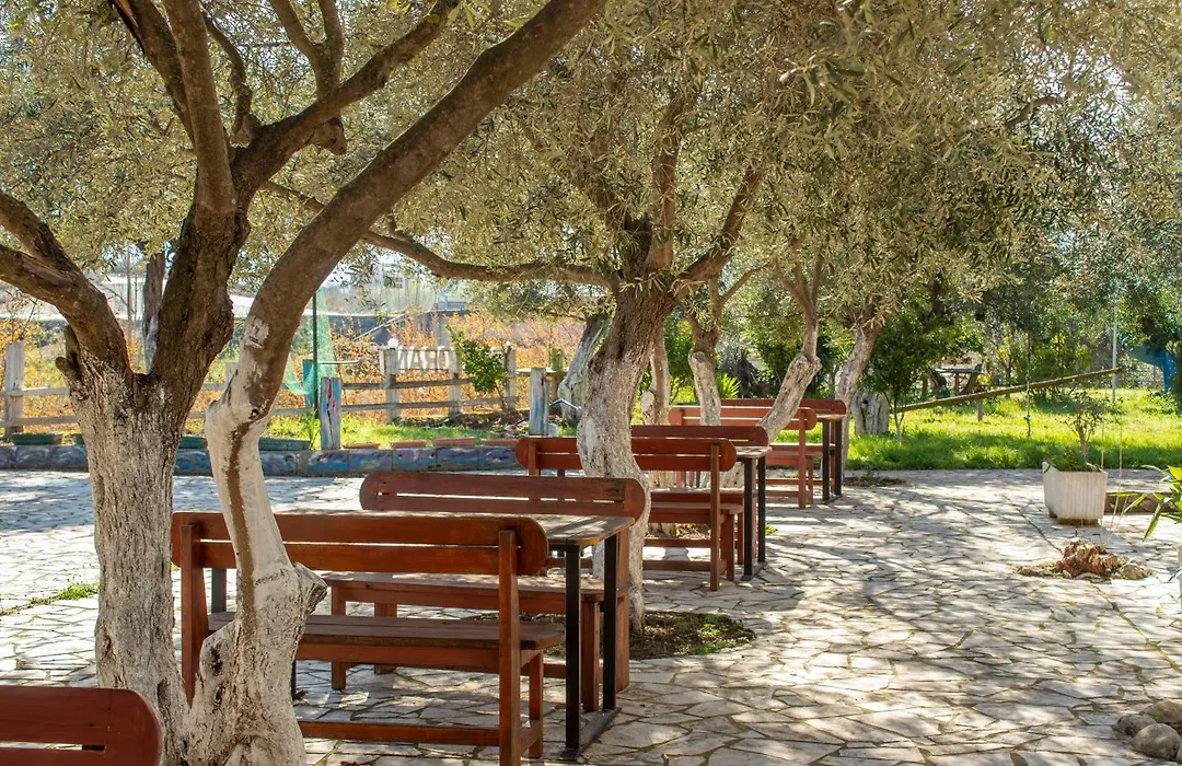 Oasis Hotel-1