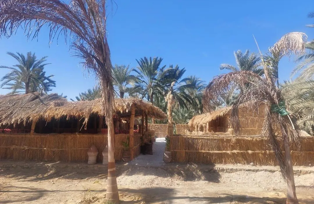 Paloma Camp-1