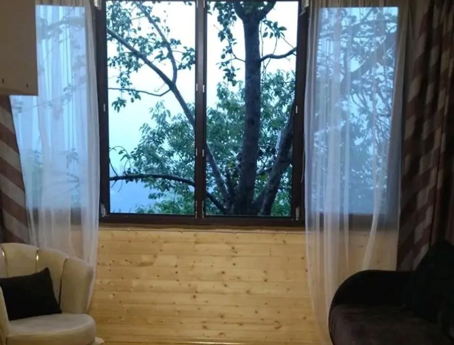Eco Guesthouse-1