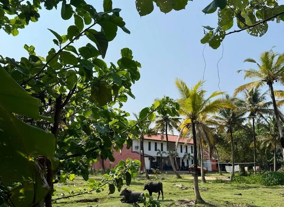 KA Surf Hostel-1